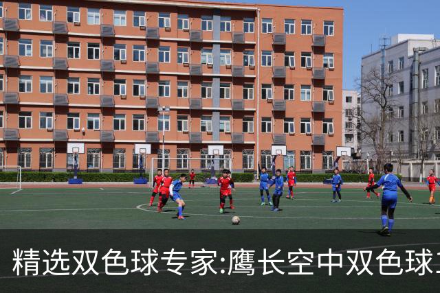 精选双色球专家:鹰长空中双色球146万累擒1788万!